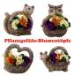 Preview: figürliche pflanztöpfe her,eule,katze