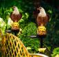 Preview: Solar-Adler-Lampe LED-Vogel-Außenbeleuchtung